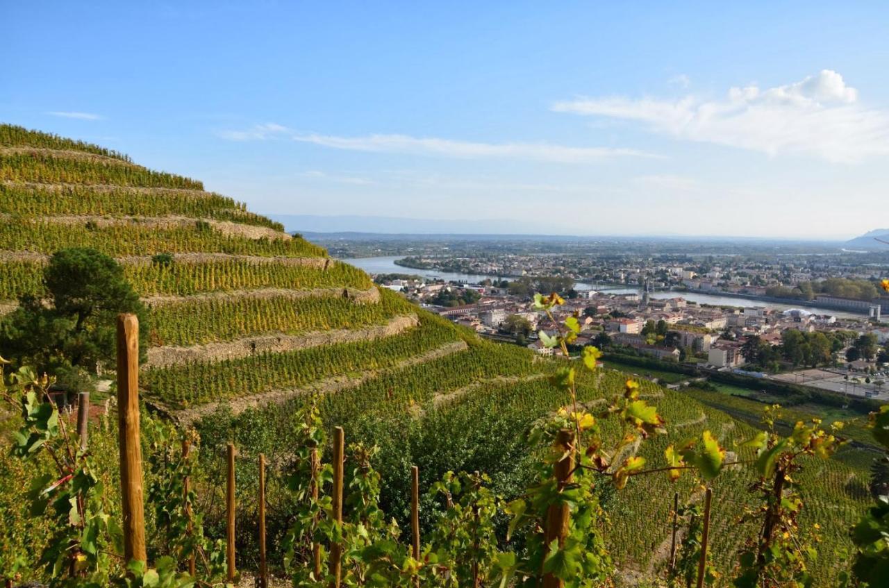 Charmant Appartement T2 Dans Villa Avec En Supplement Spa Exterieur De Mai A Septembre Laveyron Buitenkant foto